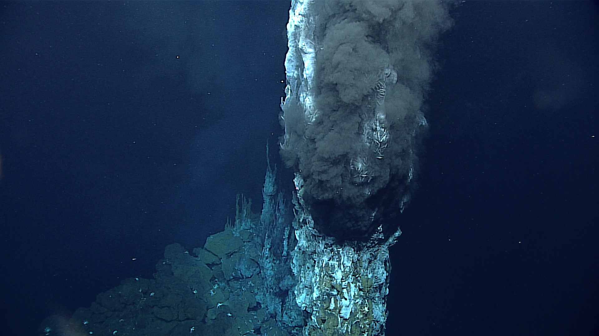 Mariana Trench hydrothermal vent