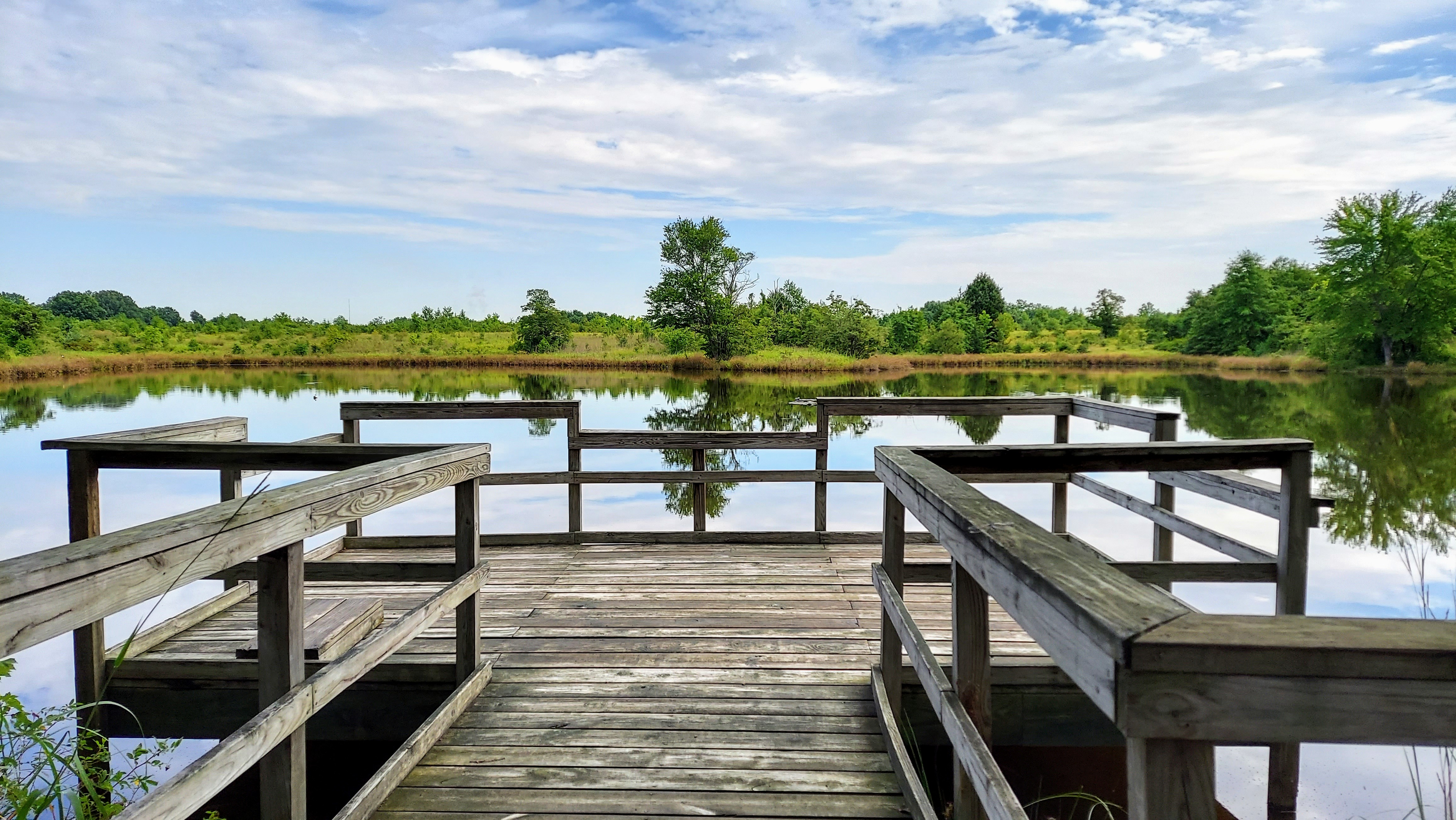 A view of the dock by Painted Turtle Pond at Occoquan Bay NWR