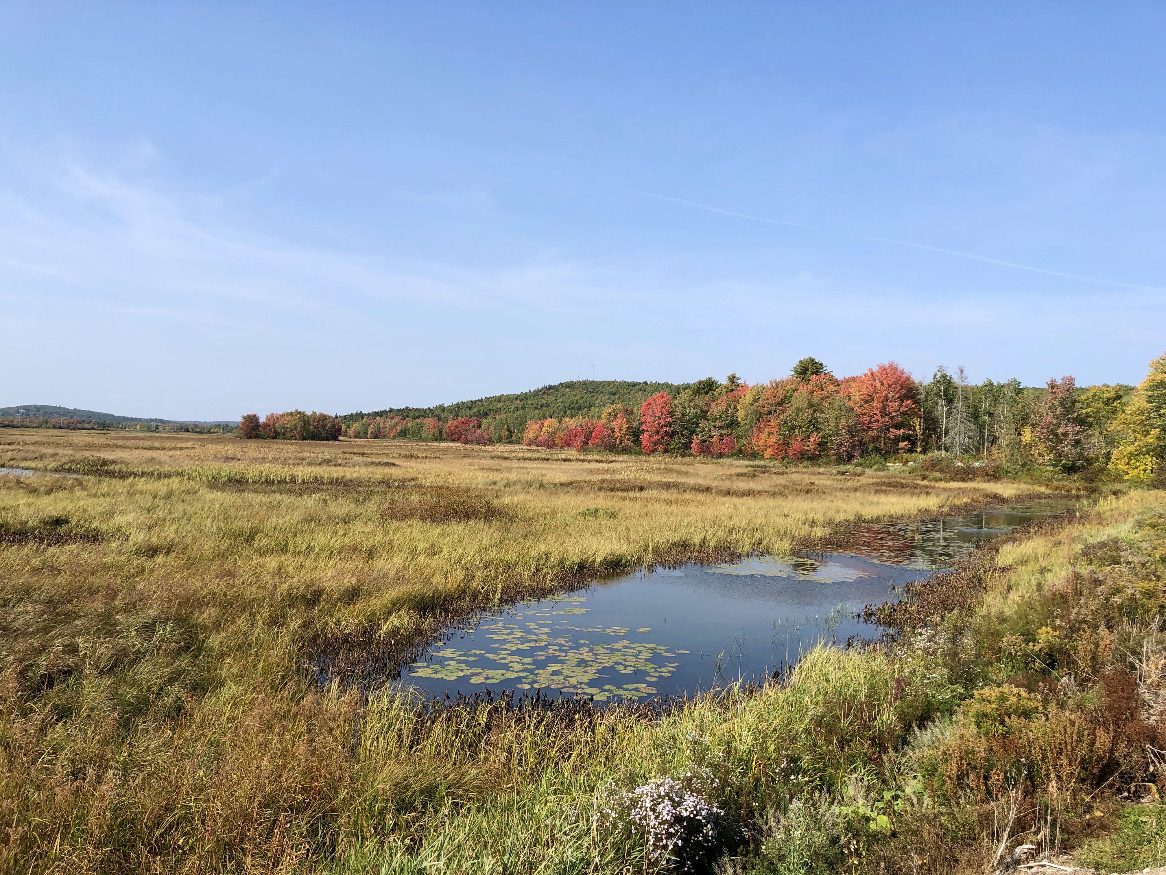 Autumn over wetland at Moosehorn National Wildlife Refuge in Maine