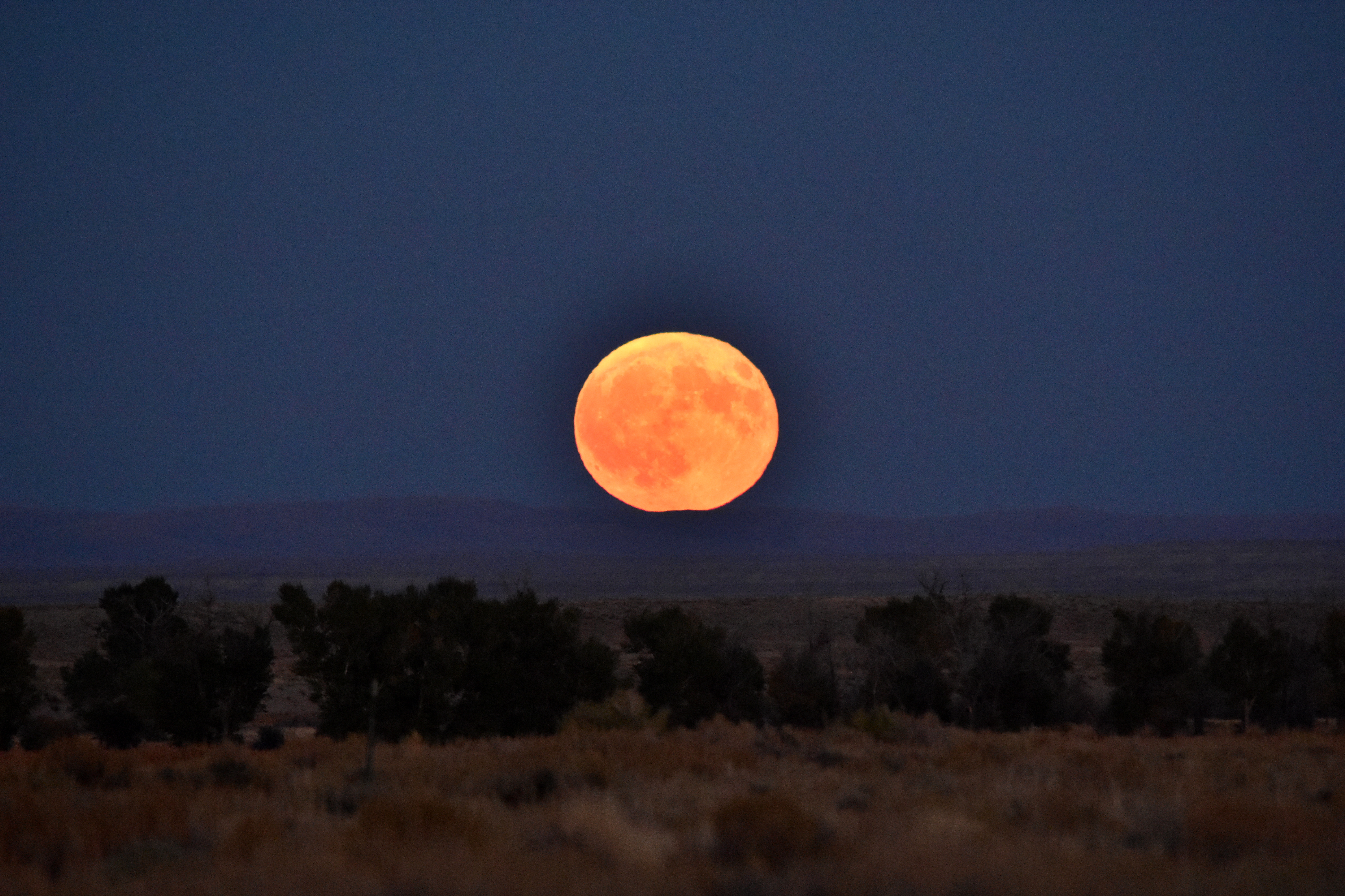 Harvest Moon Rising Over Seedskadee National Wildlife Refuge