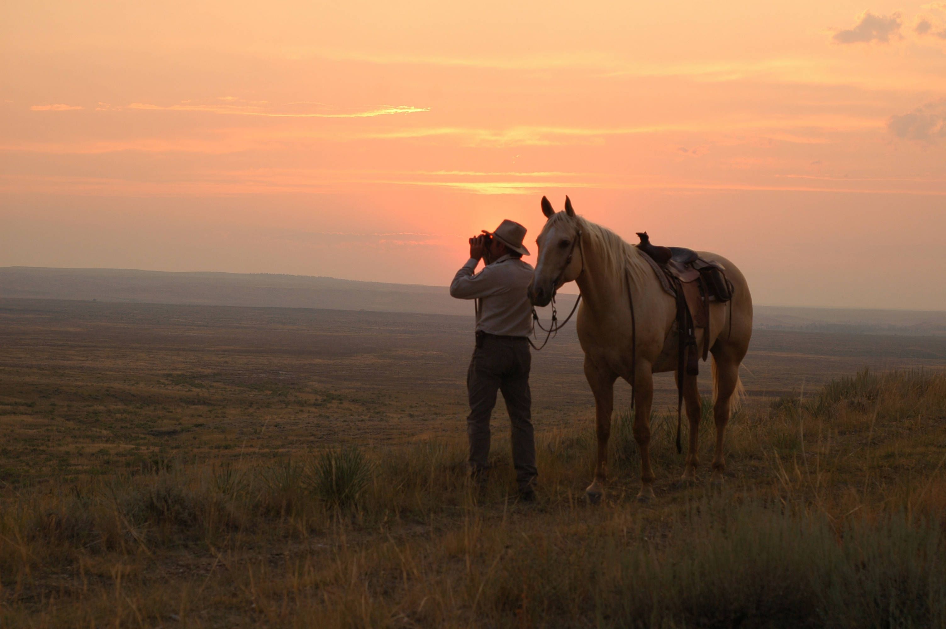 A man standing next to a horse looking over a desert plain at sunset