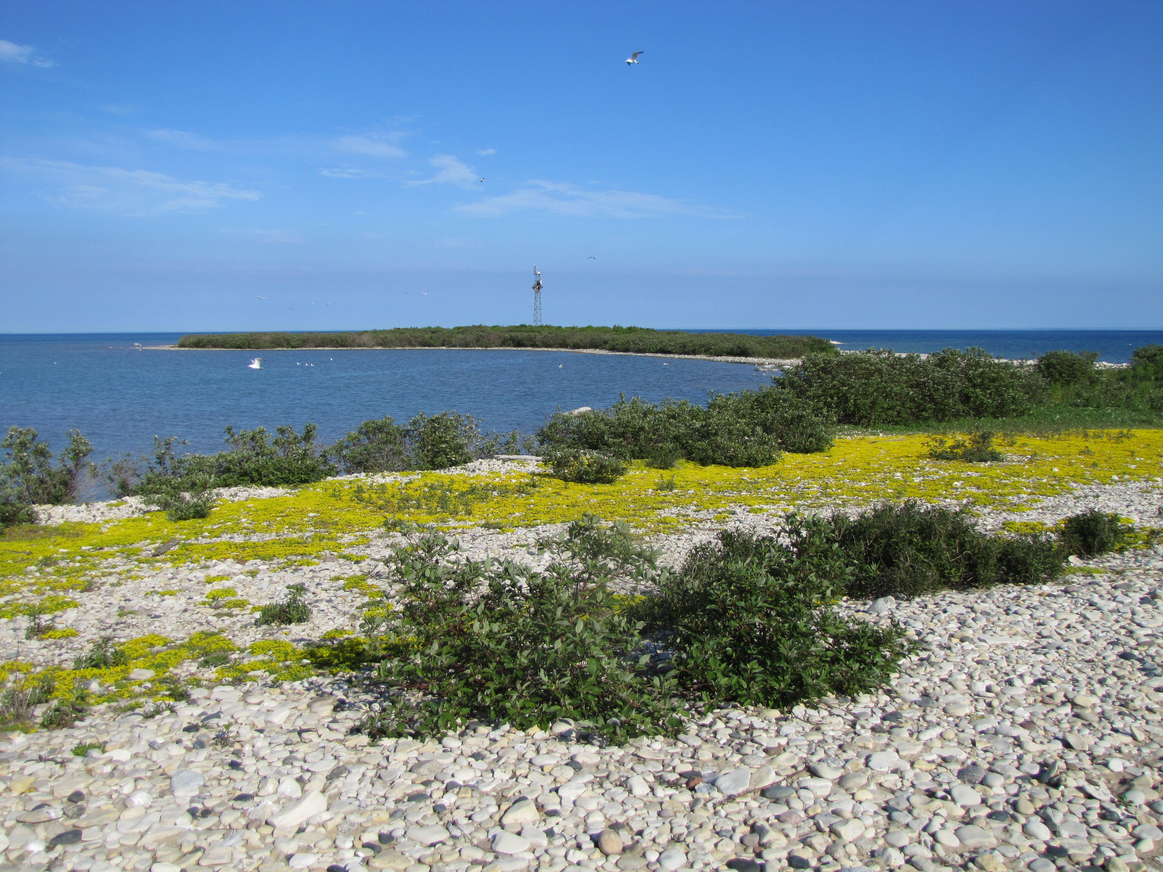 Landscape view of Michigan Islands National Wildlife Refuge.