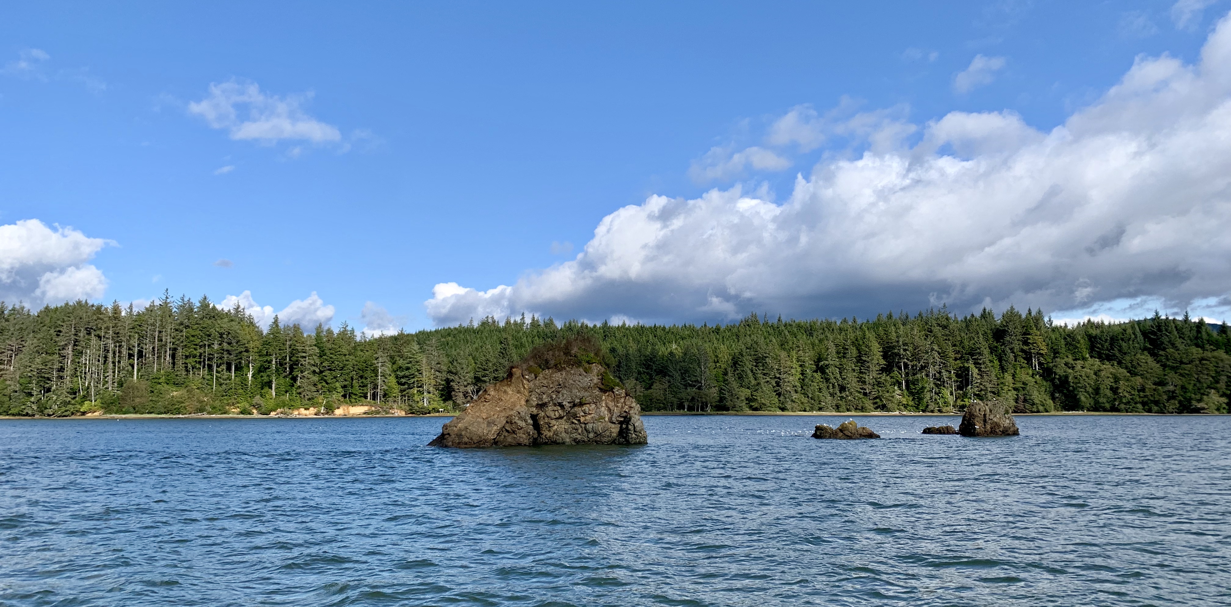 A few large rocks jut out of blue water, with green pine trees and a blue sky with white clouds in the background 