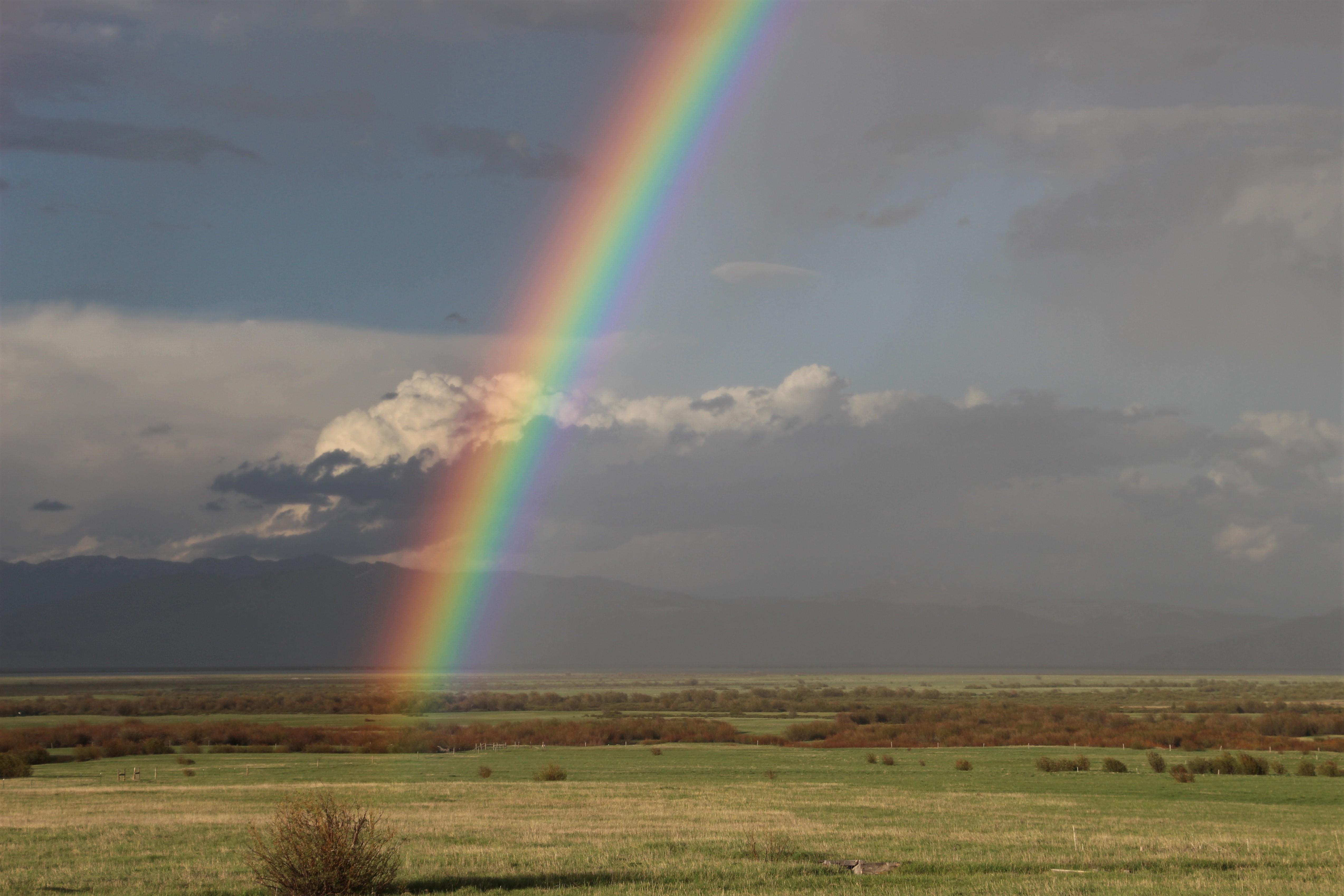 A brilliantly colored rainbow can be seen touching Red Rock Lakes National Wildlife Refuge's green valley floor as blue and white clouds recede in the background.