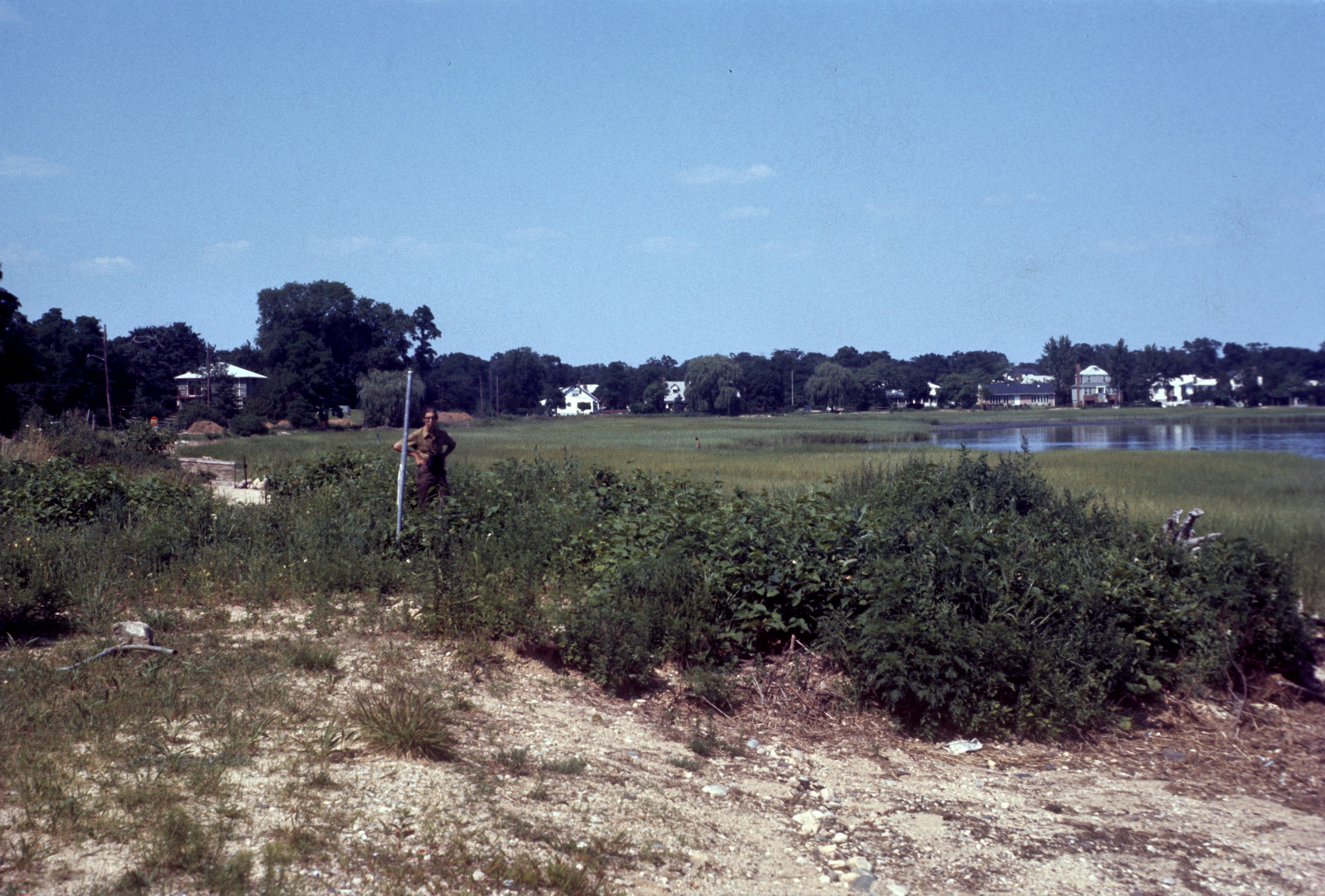 A man stands in marsh dunes surrounded by low shrubs