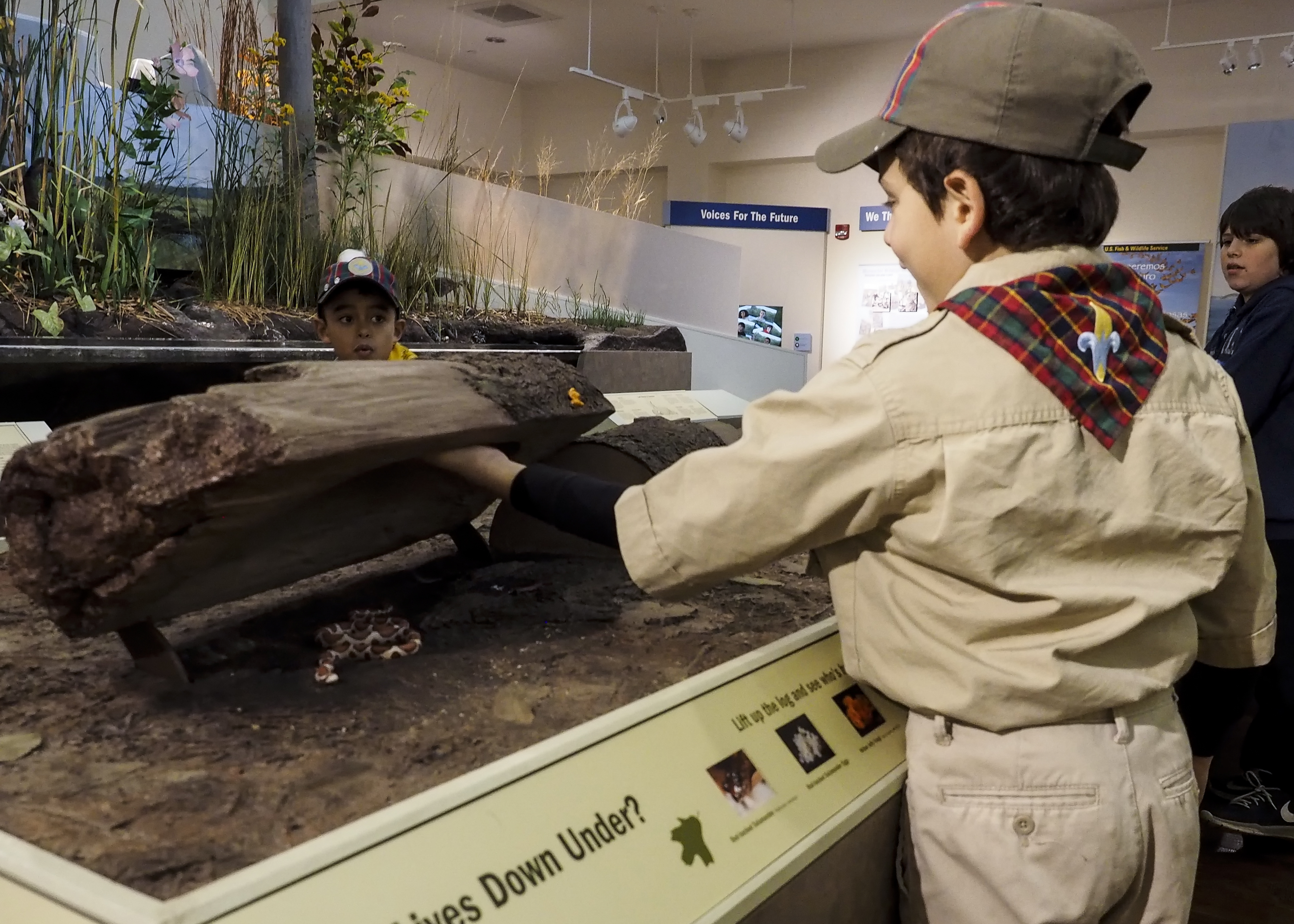 Boy scout explores exhibits in the visitor center