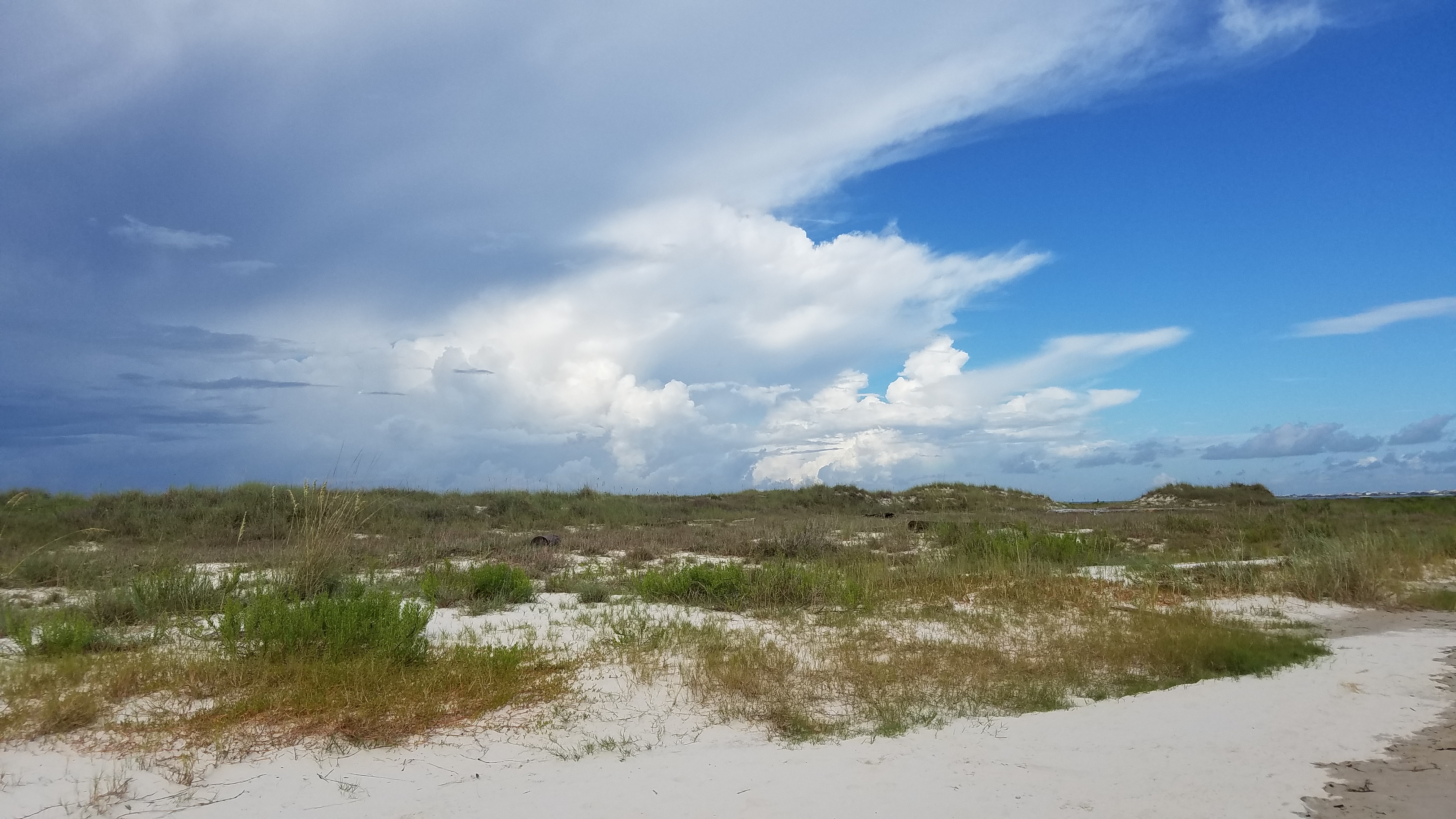 View of dunes from the beach with storm clouds in the background