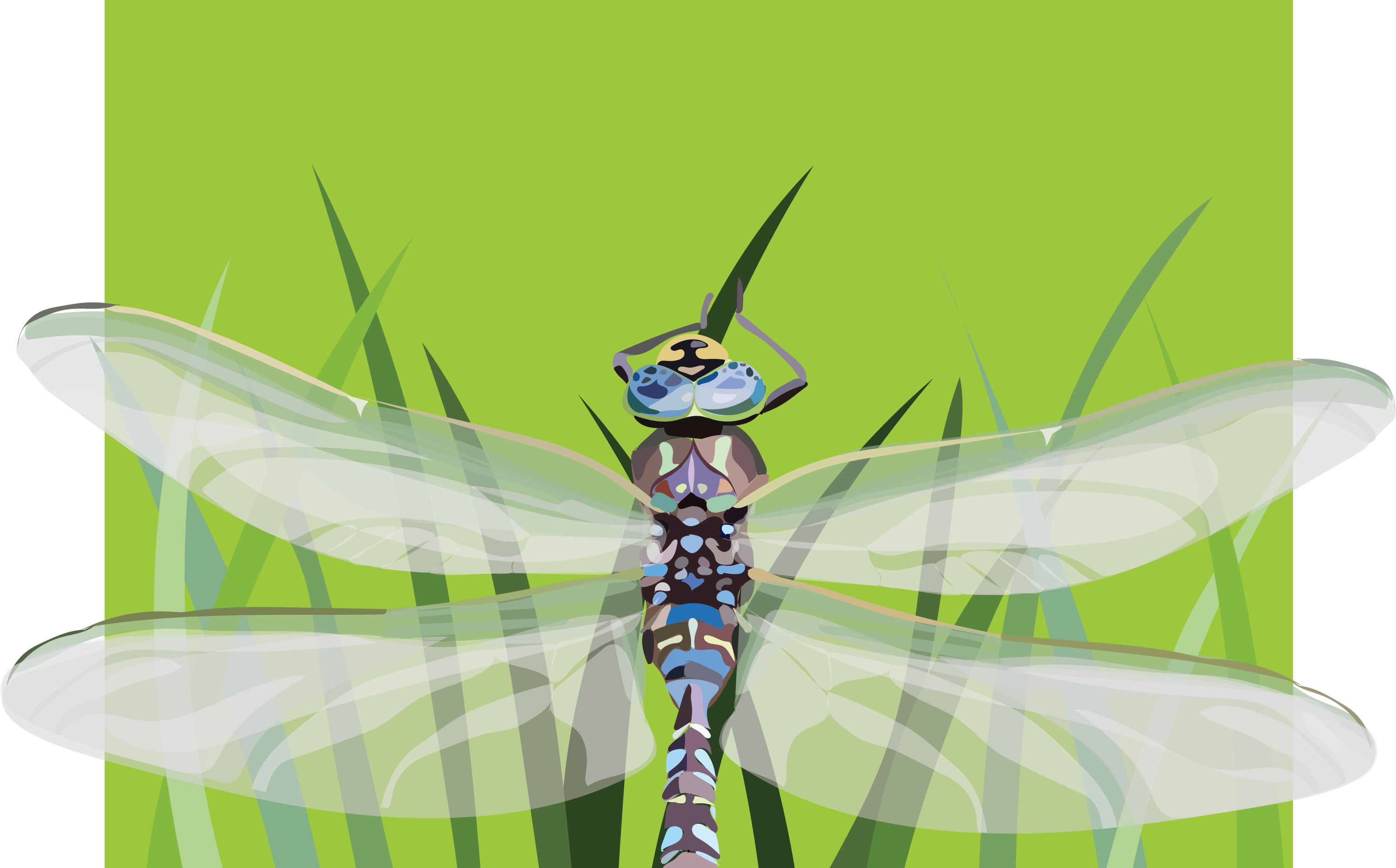 depiction of a dragonfly on grass