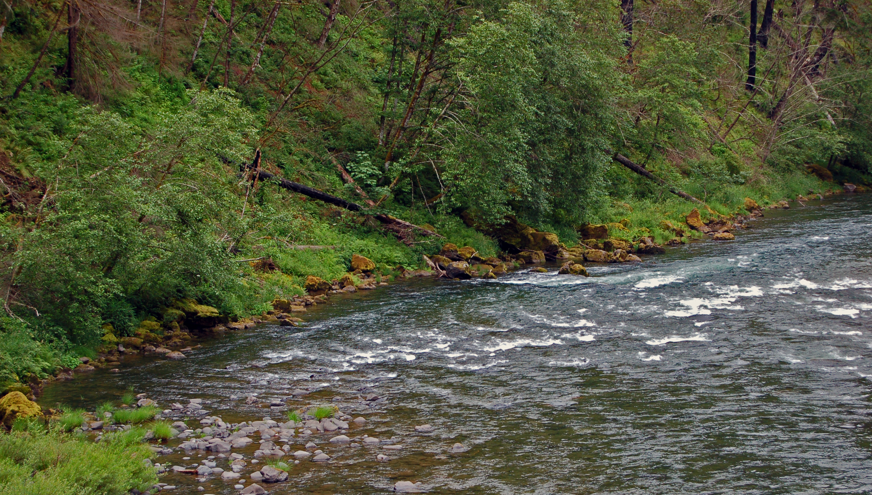 A view of the Clackamas River in Oregon