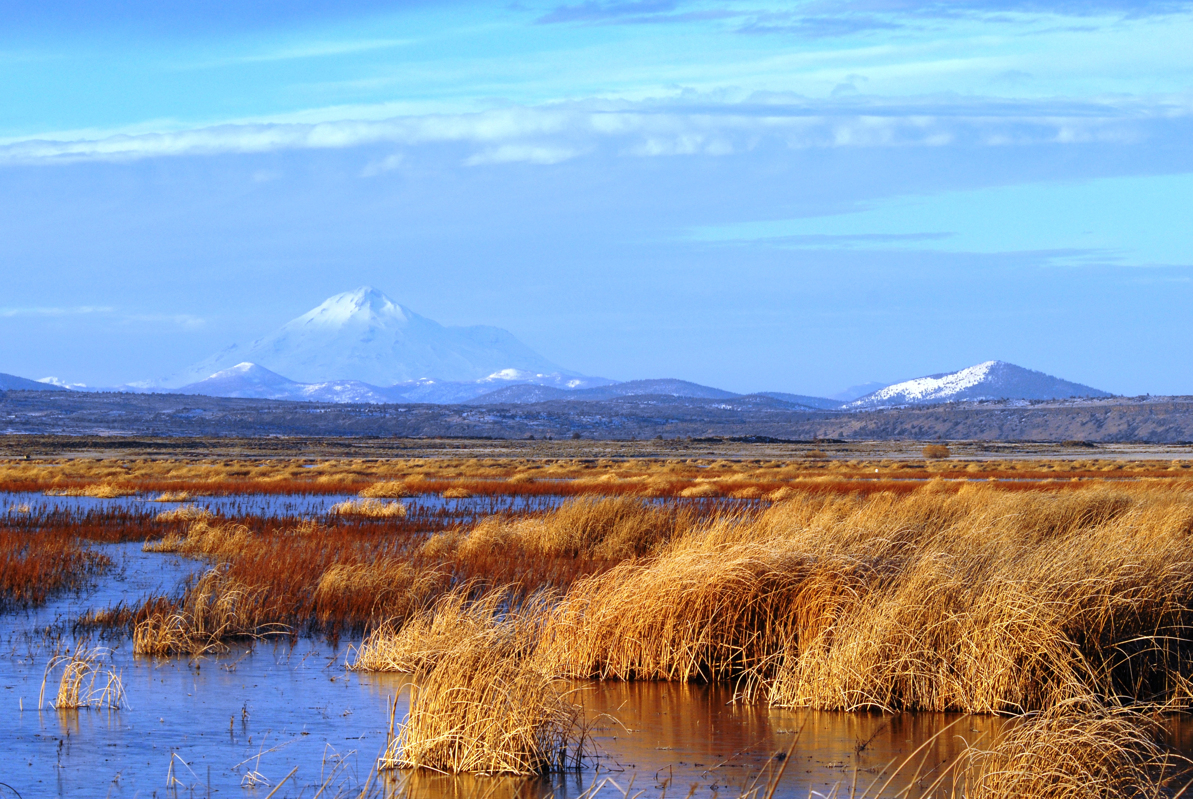Picture of Tule Lake wetlands looking west with Mt. Shasta in the background