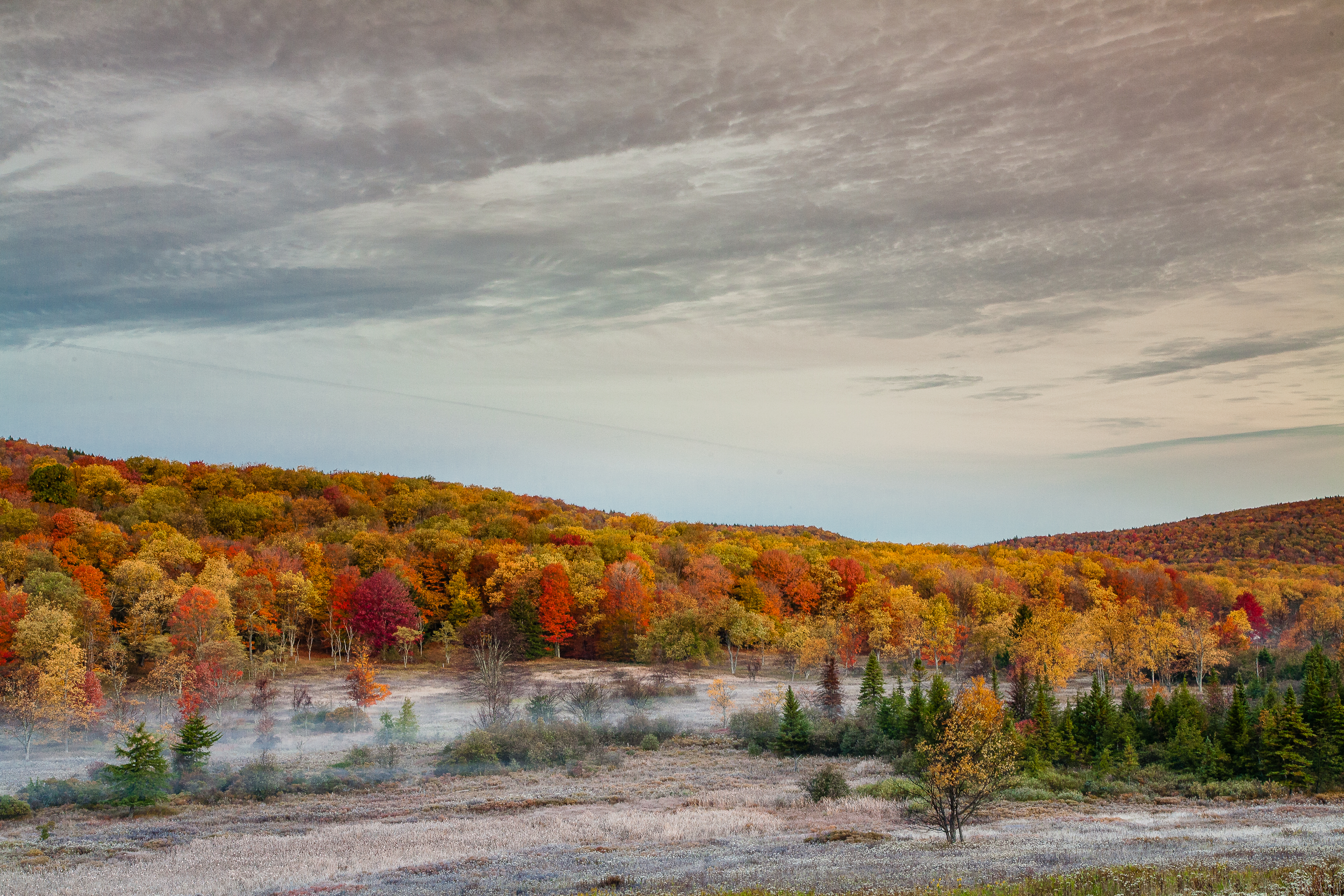 Fall foliage in Canaan Valley