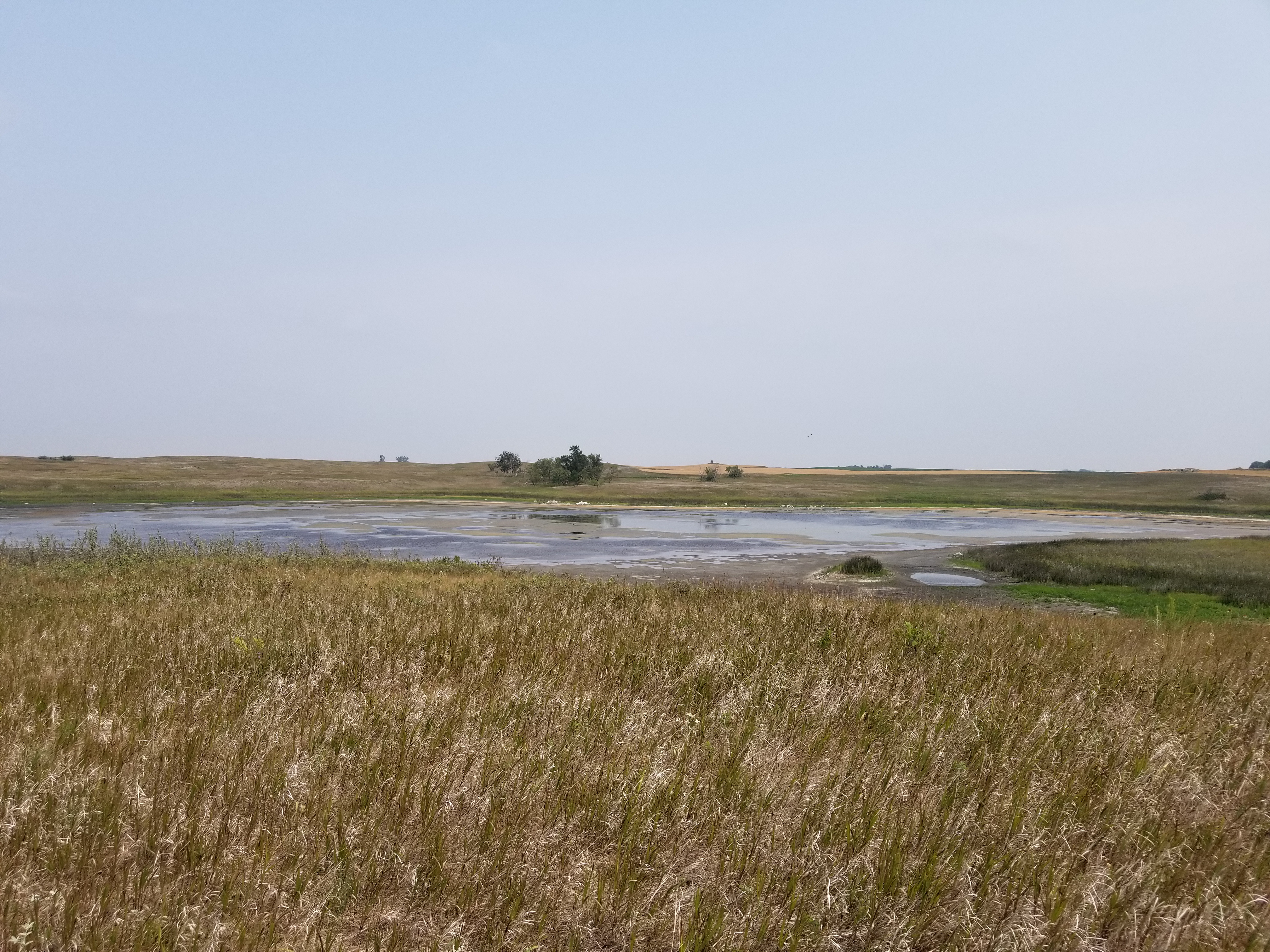 Prairie Wetland_Audubon WMD