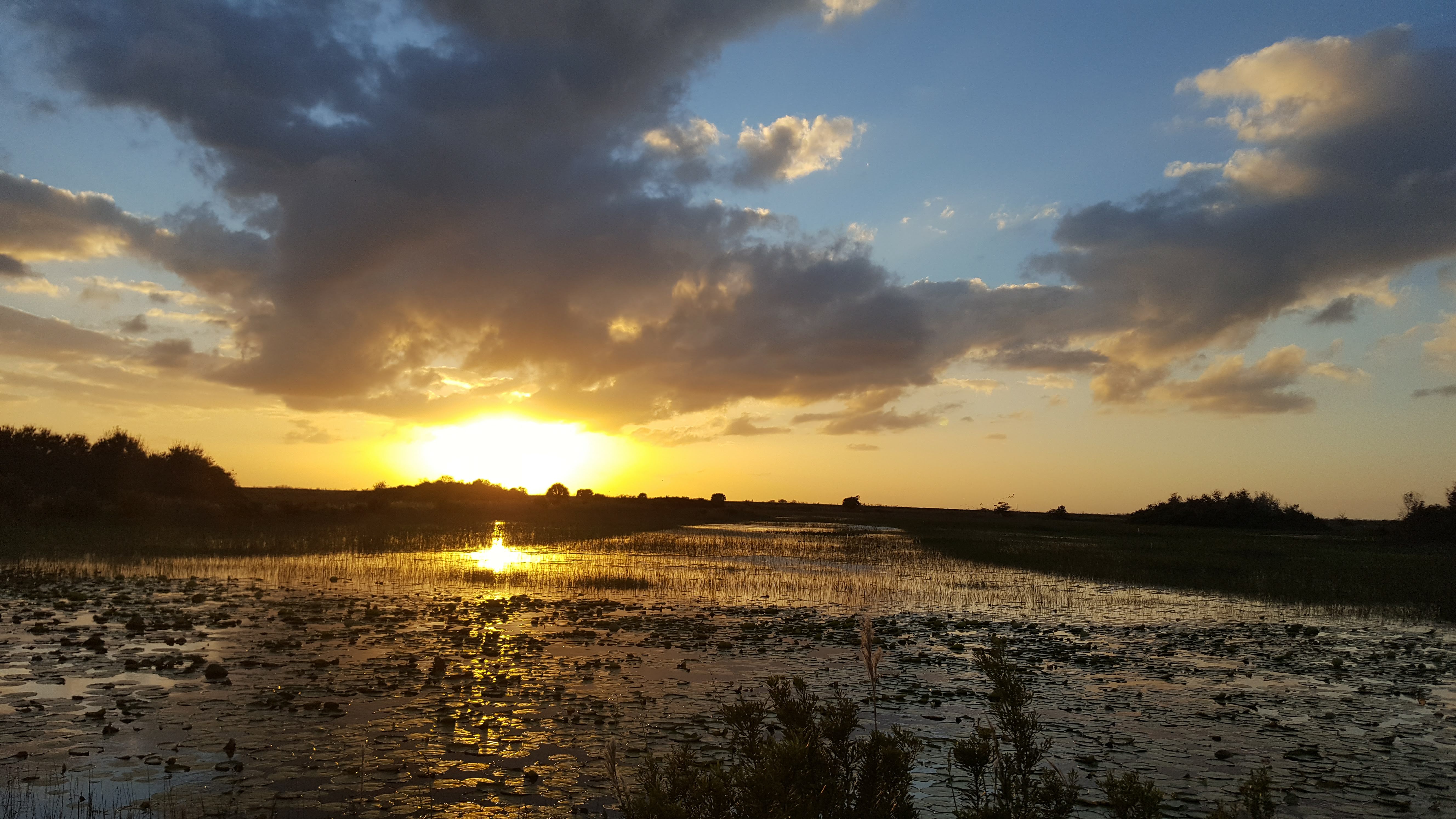 Sunset in the C Impoundments at A.R.M. Loxahatchee NWR