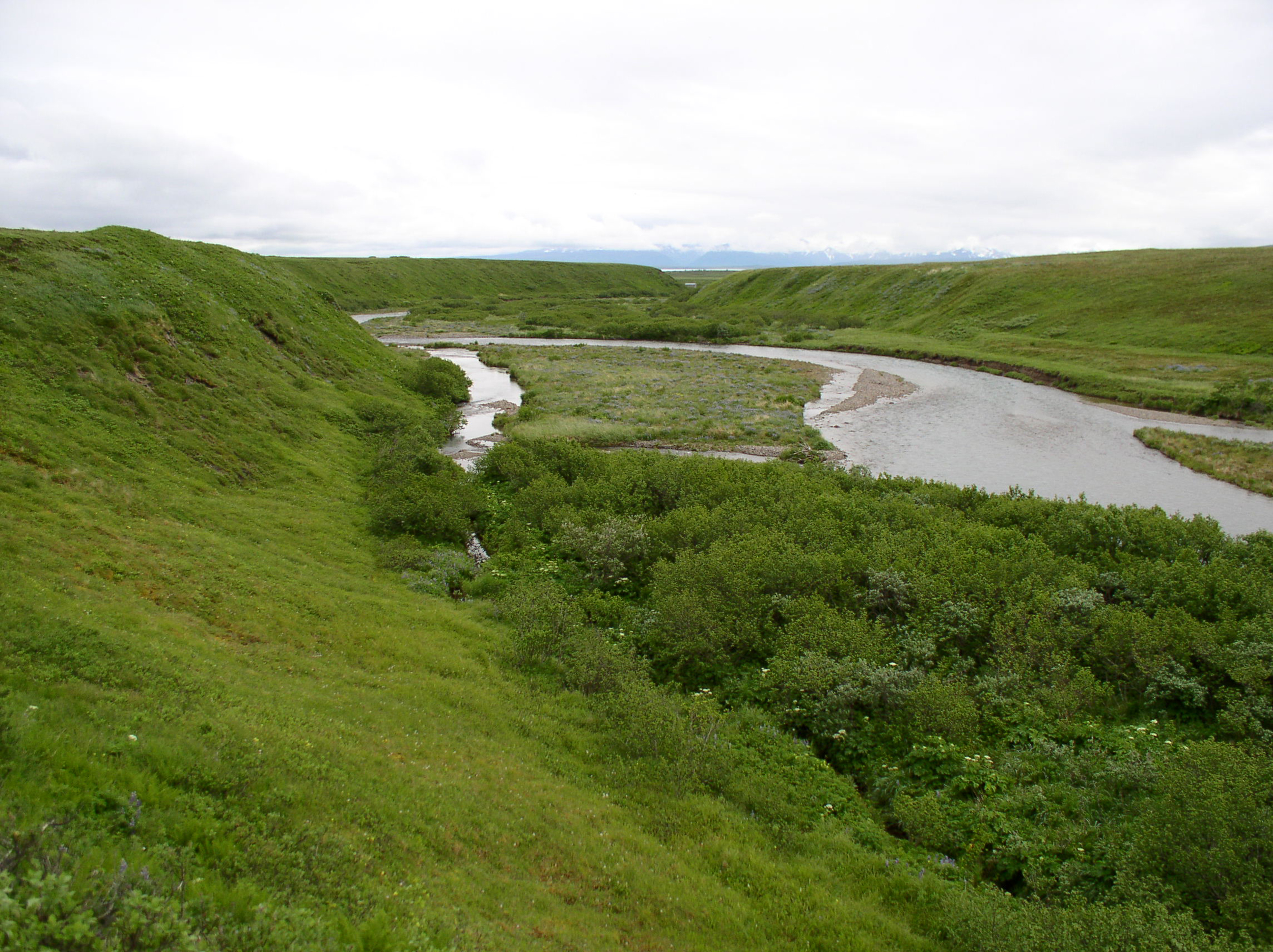 a stream cutting through coastal tundra