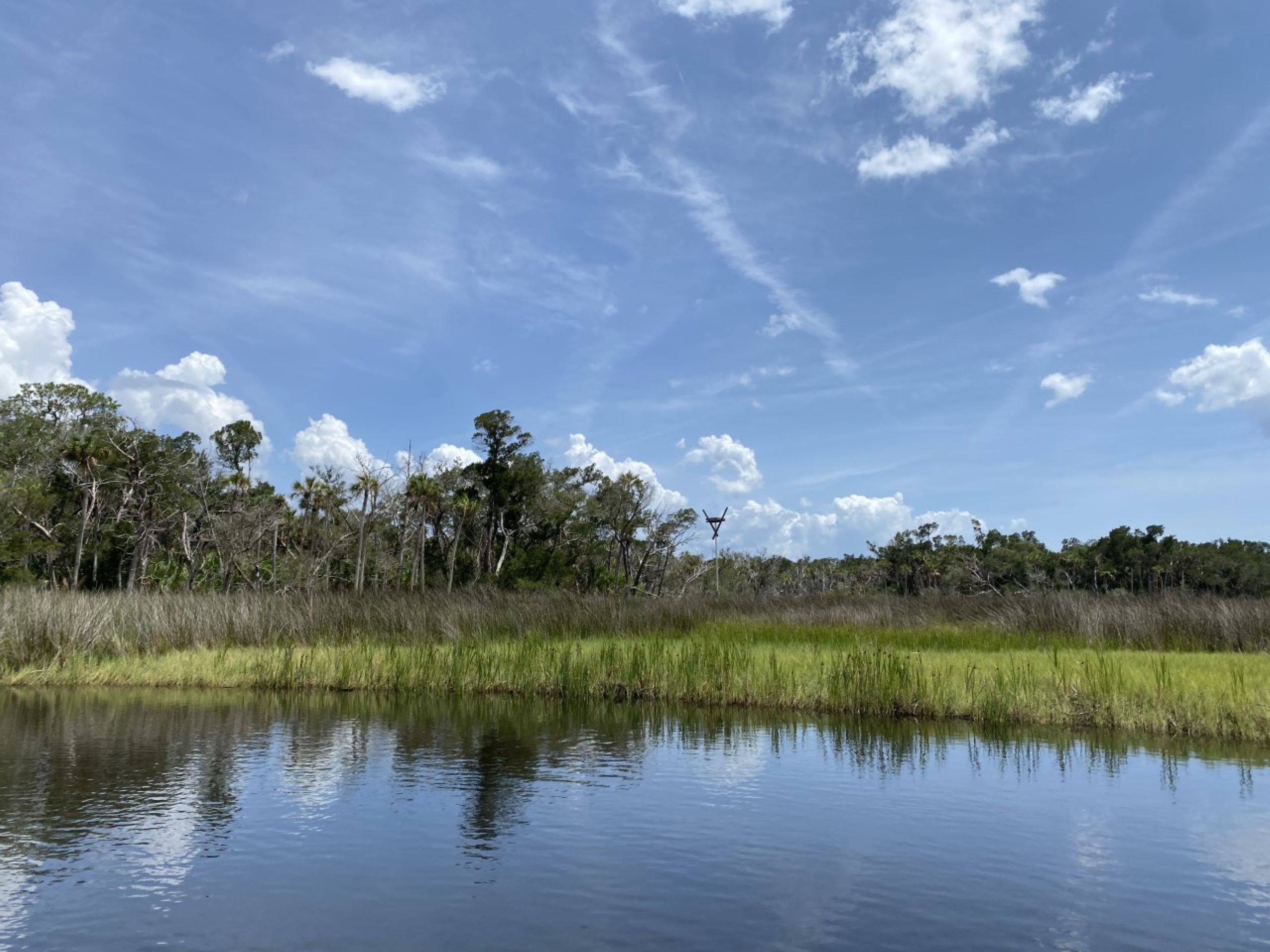 Landscape scenery with blue sky and vegetation along reflective, calm water