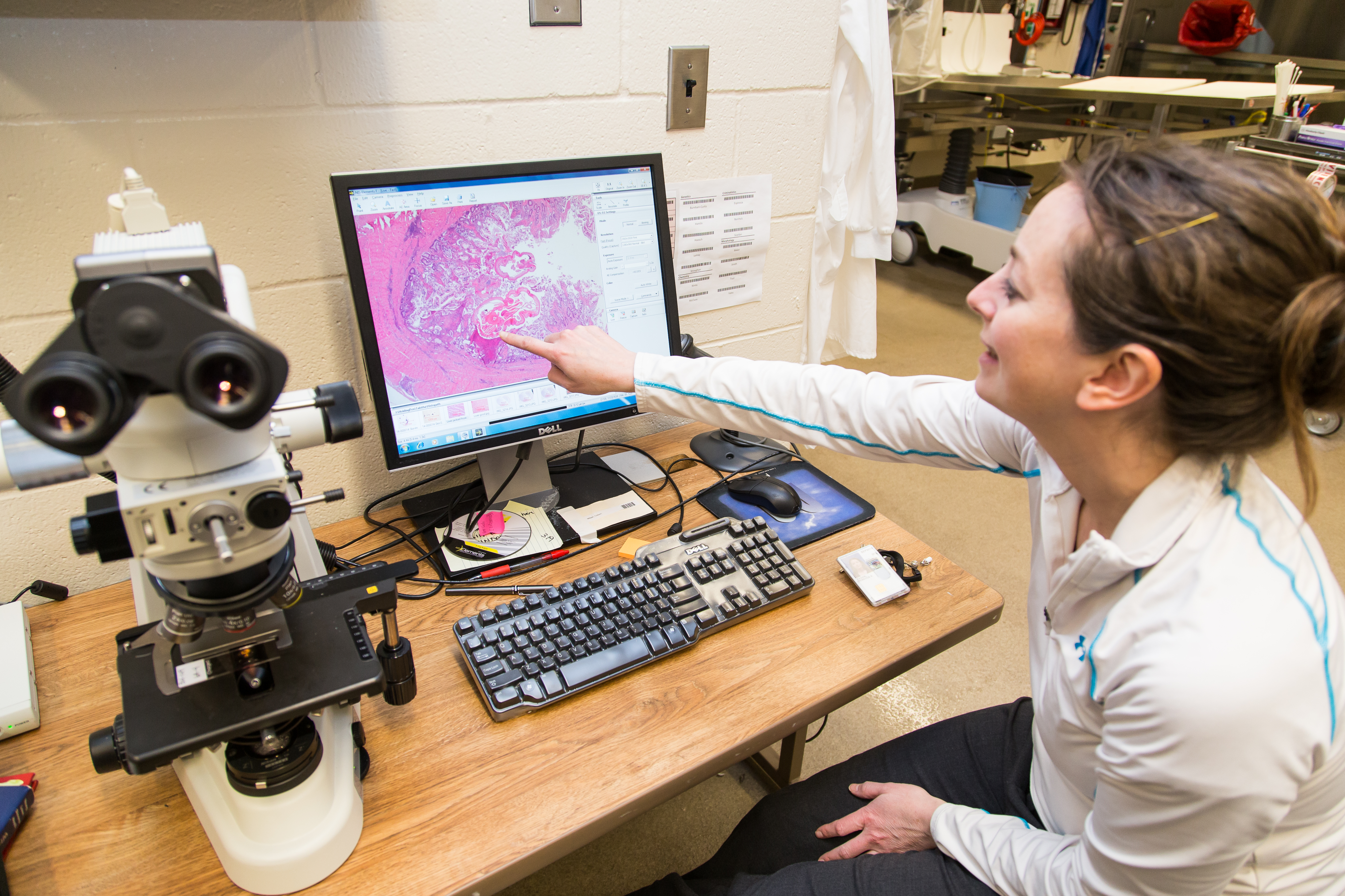 A scientist reviews an onscreen image of a tissue sample, passed from a microscope next to her.