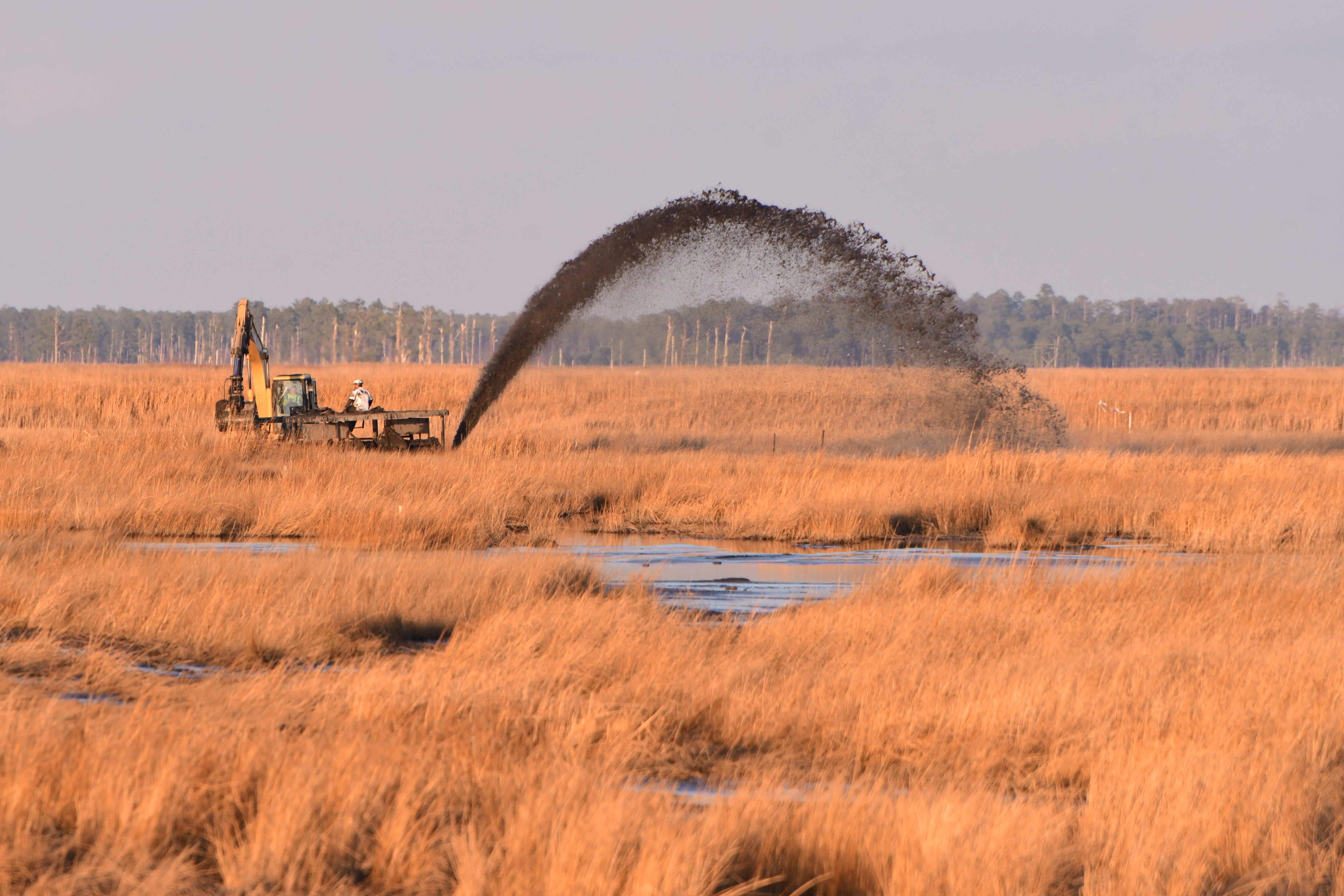 A machine operator sprays a black arc of sediment into the marsh.