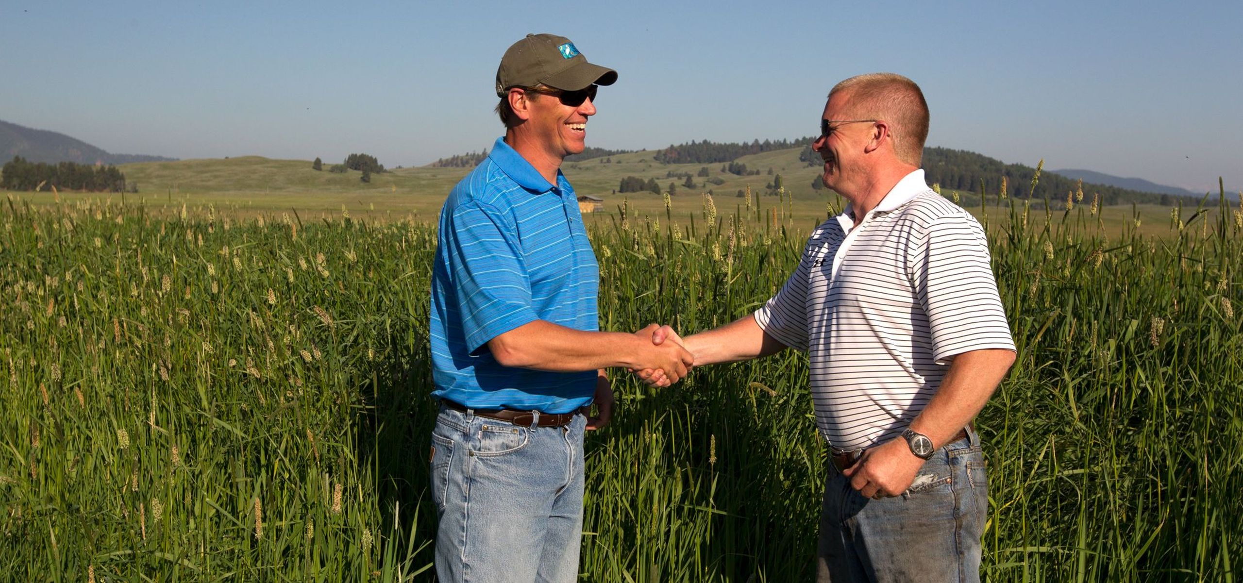 Two smiling men standing in a field of tall grass shake hands.