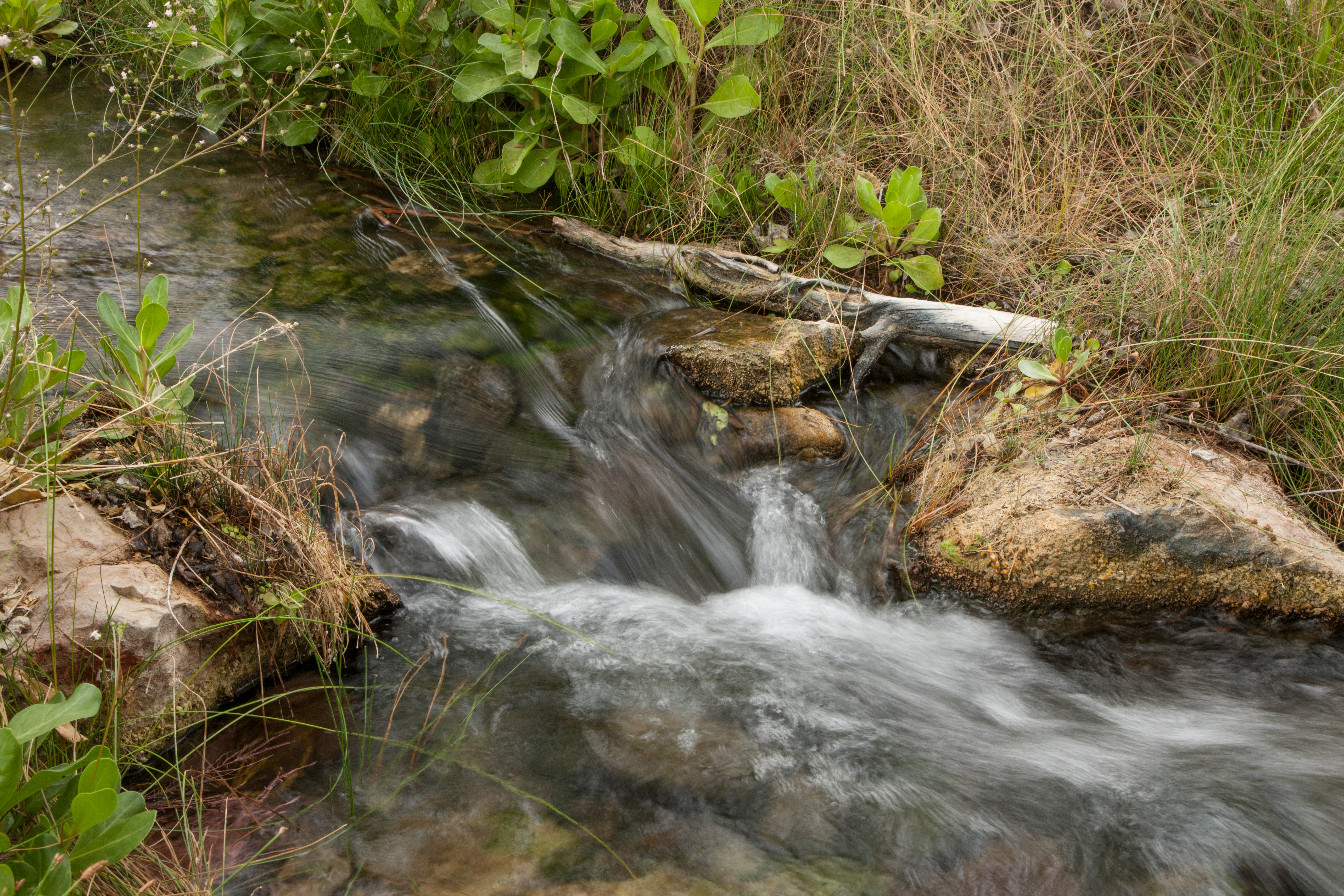 A small creek flowing downhill