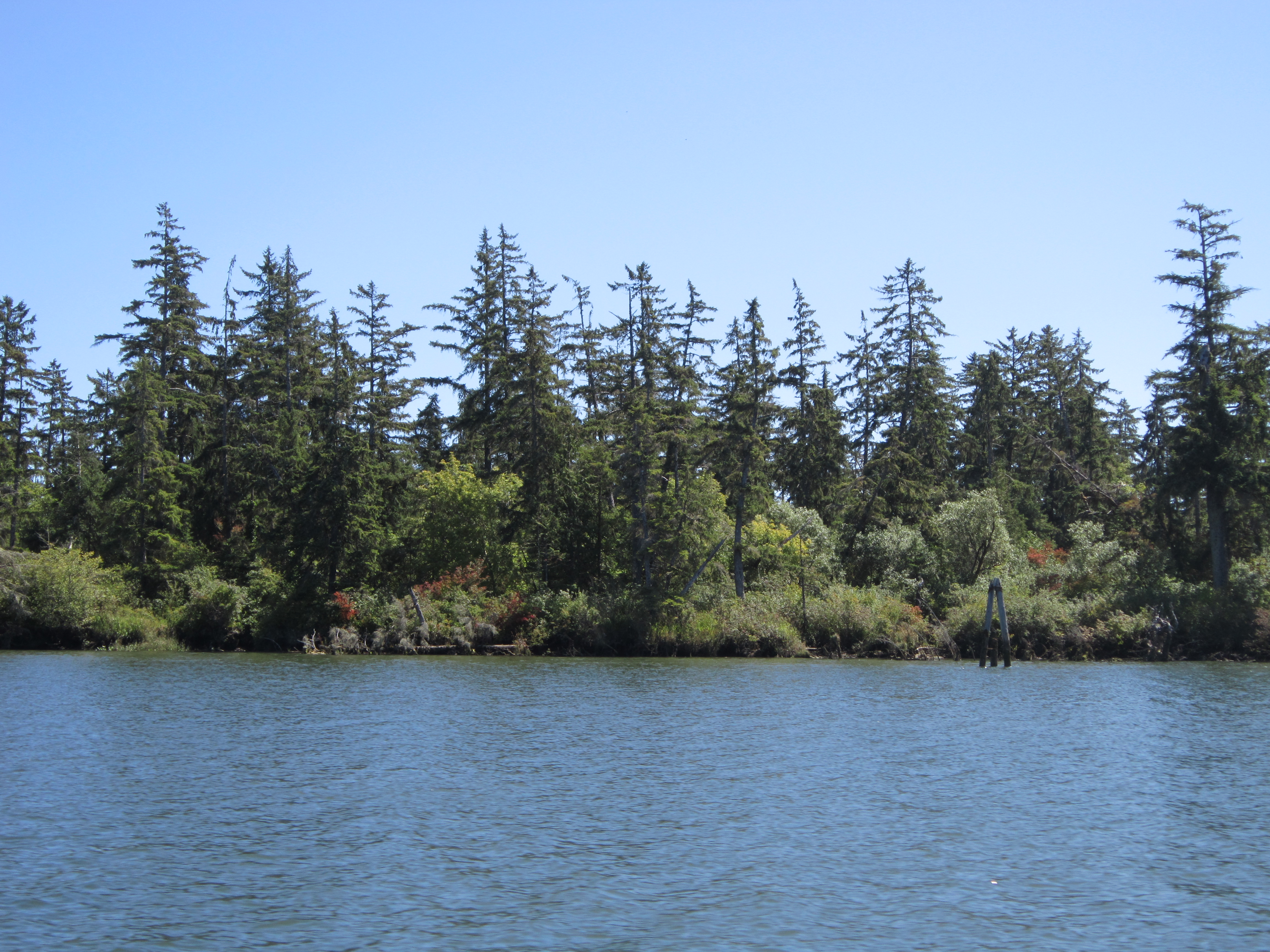 Water of the Columbia River in the foreground with a view of a forested island.