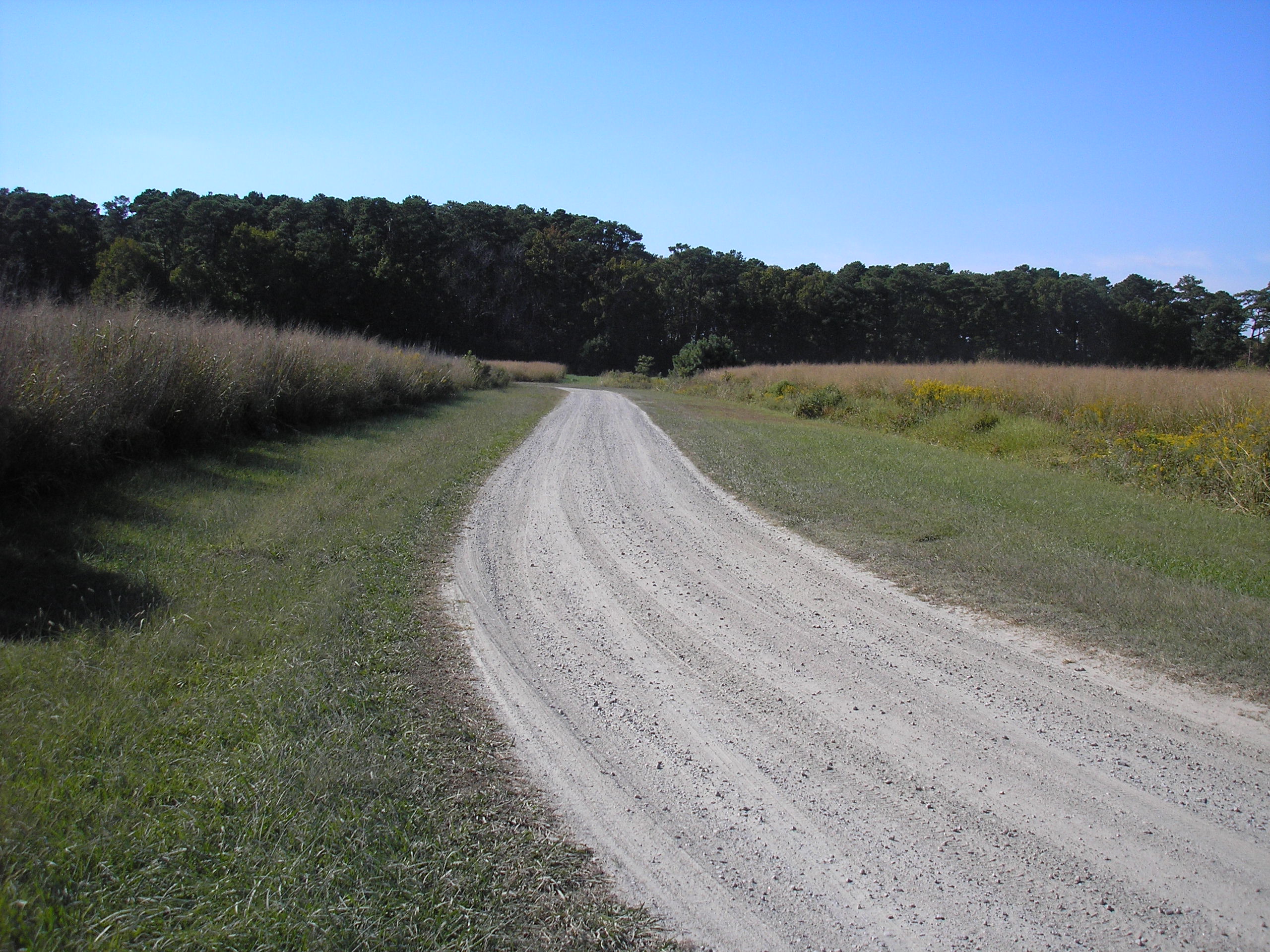 Mackay Island National Wildlife Refuge Entrance Road FWS.gov