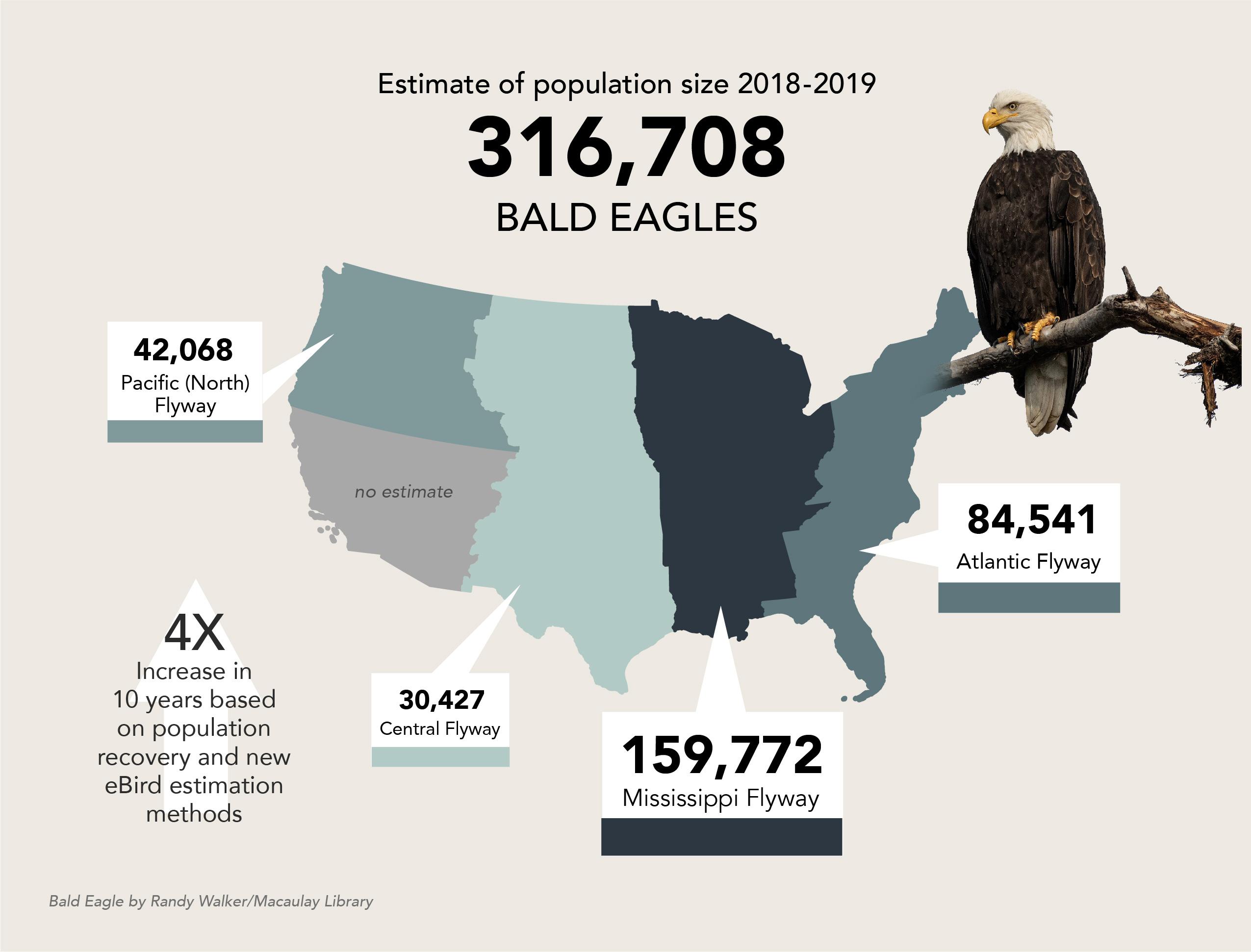 BaldEagleMap 03 19 21 jpeg FWS gov