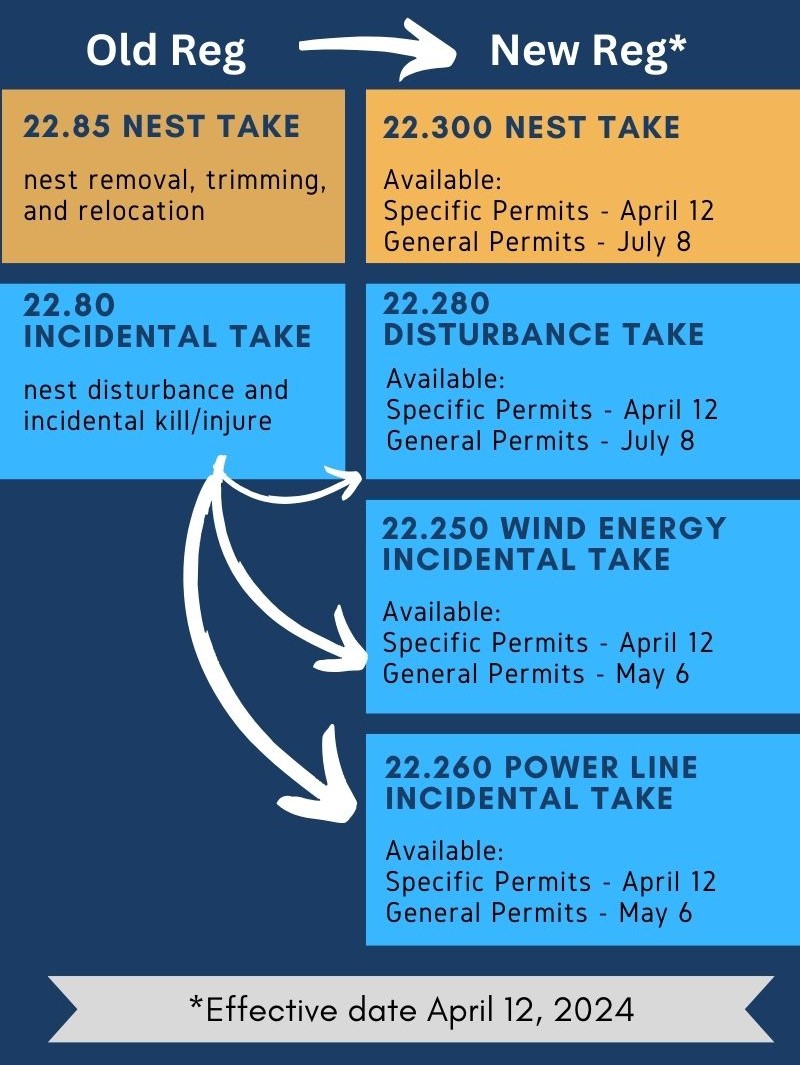 Timeline of Eagle Permit Regulation Roll-Out | FWS.gov
