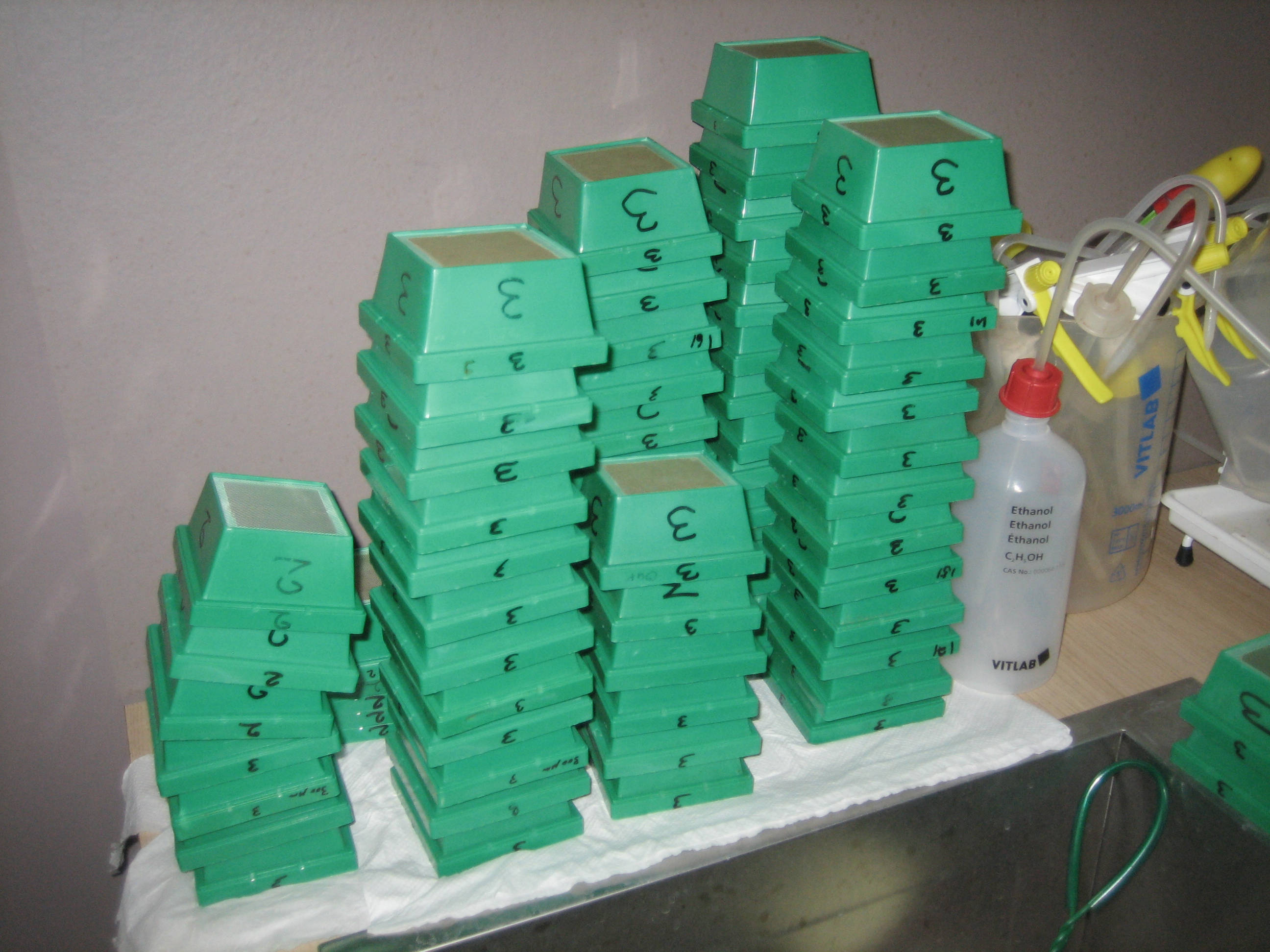 Artemia boxes used to clean and separate mussels from sediment ...