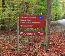 A sign that reads "Elizabeth Hartwell Mason Neck National Wildlife Refuge, U.S. Fish and Wildlife Refuge, Woodmarsh Trail".