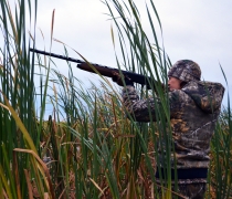 Woman dressed warmly in camouflage and standing in marsh reeds aims a shotgun into the air