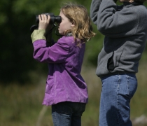 A woman and a young girl look through binoculars into the distance