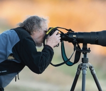 A photographer taking pictures with a very large lens