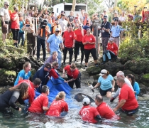 Group of people gathered to release a rehabbed manatee at Three Sisters Springs 