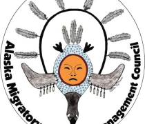 Circle with mask of person as part of a bird with feathers surrounding the mask