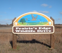Image of the Prairie's Edge Wildlife Drive wooden sign. This colorful wooden sign has a scene of two sandhill cranes flying in a blue sky over a green landscape, with a tree on the left, wetland in the middle and wildflowers on the right.
