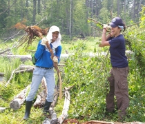 Two student volunteers holding invasive species.