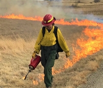 Laying Fire Down for a Prescribed Burn