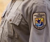 Close up of a USFWS patch on a uniform shirt