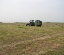 Haying Equipment at Bison WPA