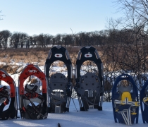 Three pairs of snowshoes, red, gray and blue, stand upright in white snow. In the distance, there are brown trees and vegetation in front of a blue sky.