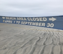 A blue banner on a beach informs the public of a beach closure from April 1 to September 30.