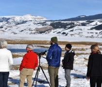 Winter naturalist Joe Lieb (third from the left) leads visitors on a wildlife watching excursion on National Elk Refuge. Photo Credit: Gannon Castle