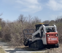 Heavy equipment being used on a trail at Sachuest Point.