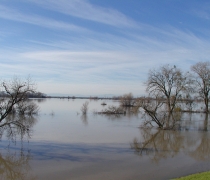 Sacramento NWR Complex - flooding at Sutter NWR