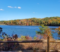 View across a waterbody lined with trees in fall foliage. A wooden fence sits in the foreground