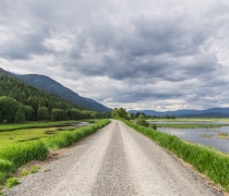 A gravel road leading into a wetland