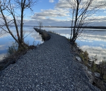 a stone jetty with sparse trees cuts through a still lake that reflects blue skies and clouds