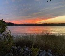 Sunset over a lake with orange clouds and reflections on water and submerged vegetation in the foreground