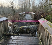 Boardwalk section smashed by tree