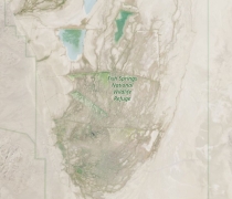 Satellite Imagery of Fish Springs National Wildlife Refuge from January 6, 2026
